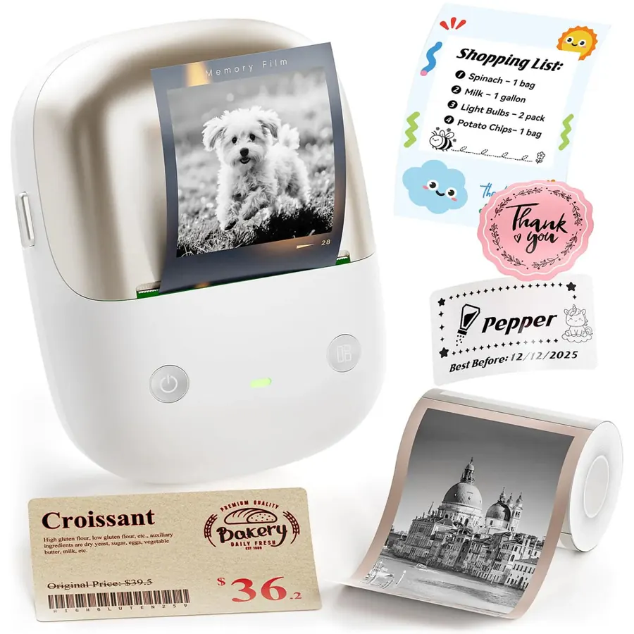 NIIMBOT B2 Pro label printer